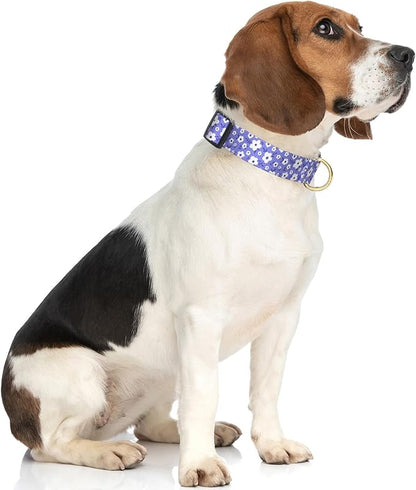 Rnivvi Dog Collar for Medium Dogs, Cute Heavy Duty Adjustable Puppy Collar with Quick Release Buckle for Boy Girl & Female, Pet Accessories for Walking Running, M Length 1" Width, Purple White