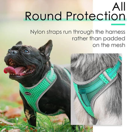 ThinkPet Reflective Breathable Soft Air Mesh No Pull Puppy Choke Free Over Head Vest Harness for Puppy Small Medium Dogs and Cats Teal Medium