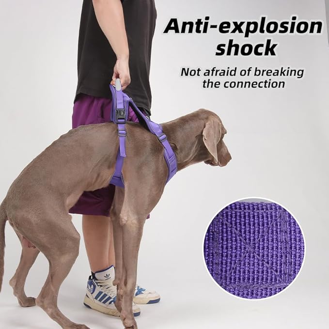 Airtag Dog Harness Chest Plate Reflective No Pull Harness with Leash for Extra Large Dogs (Purple, L)