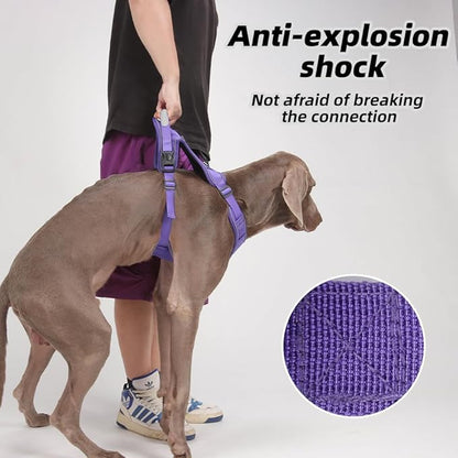 Airtag Dog Harness Chest Plate Reflective No Pull Harness with Leash for Extra Large Dogs (Purple, L)