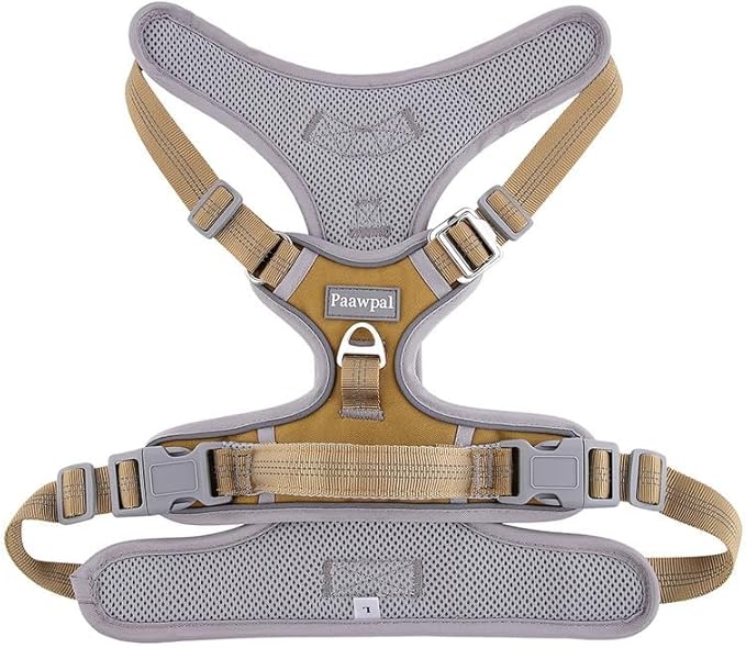 Paawpal Adjustable Dog Harness - No Pull, Reflective, Soft Padded for Small, Medium, Large Dogs - Includes Leash and Collar Beige L