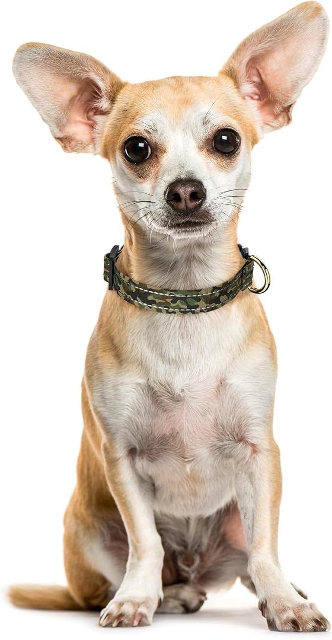 MOODEL Reflective Dog Collar for Extra Small Dogs Cats, Cute Camouflage Adjustable Heavy-Duty Nylon Puppy Collar for Boy and Girl Female, Soft Pet Accessories with Quick Release Buckle, Green