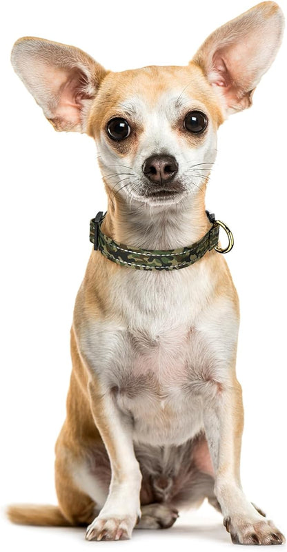 MOODEL Reflective Dog Collar for Extra Small Dogs Cats, Cute Camouflage Adjustable Heavy-Duty Nylon Puppy Collar for Boy and Girl Female, Soft Pet Accessories with Quick Release Buckle, Green