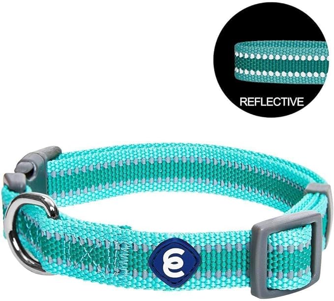 Blueberry Pet Essentials Reflective Adjustable Safety Nylon Dog Collars Medium Size | Reflective Minty Green Dog Collar for Girl and Boy Dogs