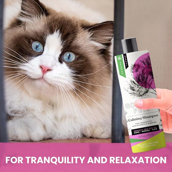 Gou Gou Pets Holistic Natural Derived Calming Pet Shampoo for Anxiety: Veterinarian Recommended: Providing Stress Relief for Dogs, Cats and Horses - Made in USA - 16 oz