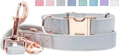 Soft Leather Dog Collar and Leash (6.6') Set - Stylish Rose Gold Heavy Duty Metal Buckle, 4 Adjustable Lengths Leash for Small Medium Large Dogs - Comfortable & Easy to Clean Grey M(13.8"-19.7")