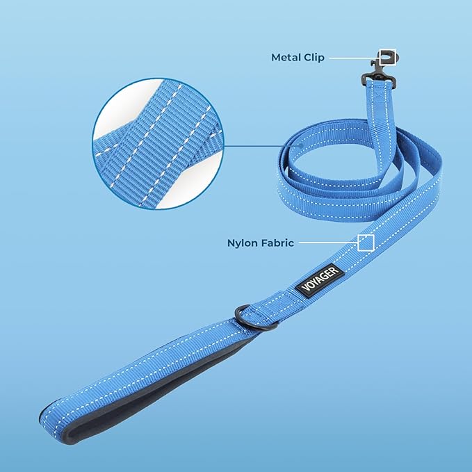 Best Pet Supplies Voyager Reflective Dog Leash or Collar with Neoprene Handle, for Small, Medium, and Large Breed Puppies, Cute and Heavy Duty for Walking, Running and Training - Baby Blue Leash, L