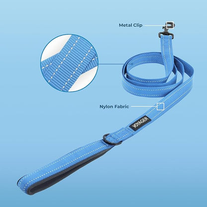 Best Pet Supplies Voyager Reflective Dog Leash or Collar with Neoprene Handle, for Small, Medium, and Large Breed Puppies, Cute and Heavy Duty for Walking, Running and Training - Baby Blue Leash, L