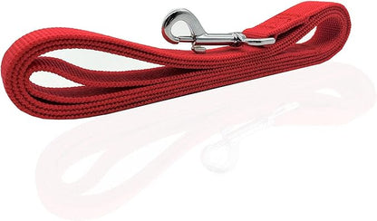 Nylon Dog Leash 10 Feet Long, Walking Training Dog Leashes for Medium Large Dogs, 1 Inch Wide (Red)