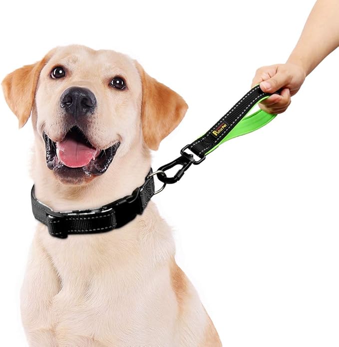PLUTUS PET 10 Inch Short Dog Leash for Large Dogs with Locking Carabiner Clip & Padded Handle（10”, Black）