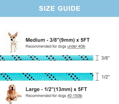 5 FT Slip Lead Dog Leash, Heavy Duty Rope Leash for Small Medium Large Dogs, No Pull Training Lead with Reflective Thread, Strong Comfortable Loop Leash (Teal Stripe, Large(1/2"))