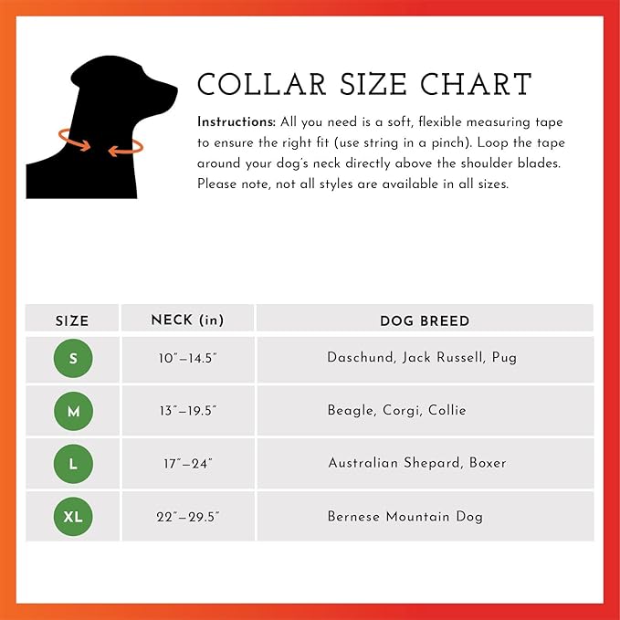SPOT THE DOG! Reflective Dog Collar - Adjustable Pet Collars, Safe, Durable, Comfortable Dog Walking Accessories for Medium Dog, Hunting Dog, Puppy, Lightweight Boy, Girl Dog Collars (Blaze Orange, M)