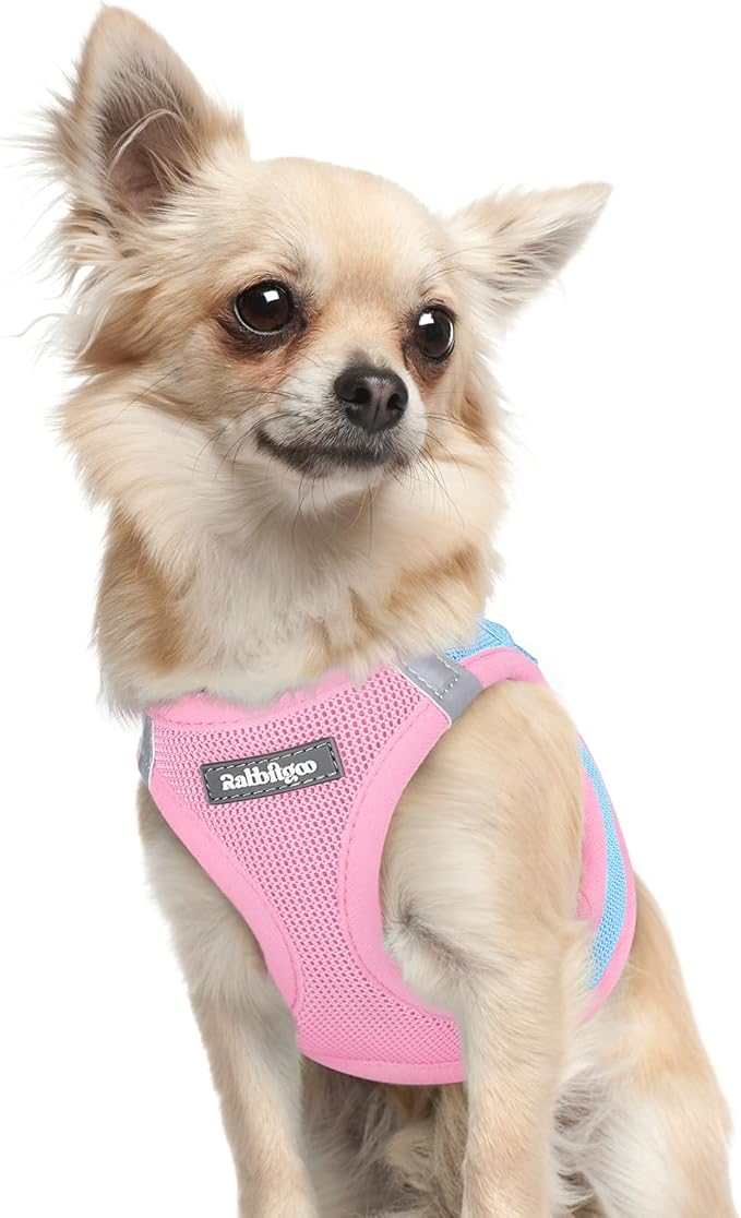 rabbitgoo Small Dog Harness, Step-in Soft Mesh Puppy Vest with Safety Buckle, Breathable Reflective Pet Harness for Extra Small Dogs, Blue & Light Pink XXXS