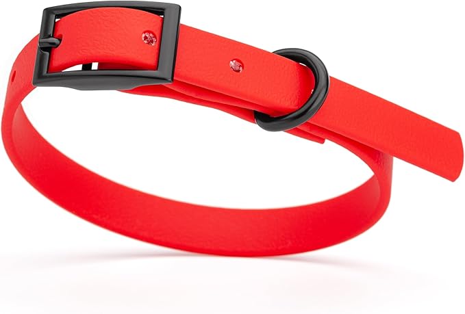 Dogline Biothane Waterproof Dog Collar Strong Coated Nylon Webbing with Black Hardware Odor- Proof for Easy Care Easy to Clean High Performance Fits Small Medium or Large Dogs, Cherry Red