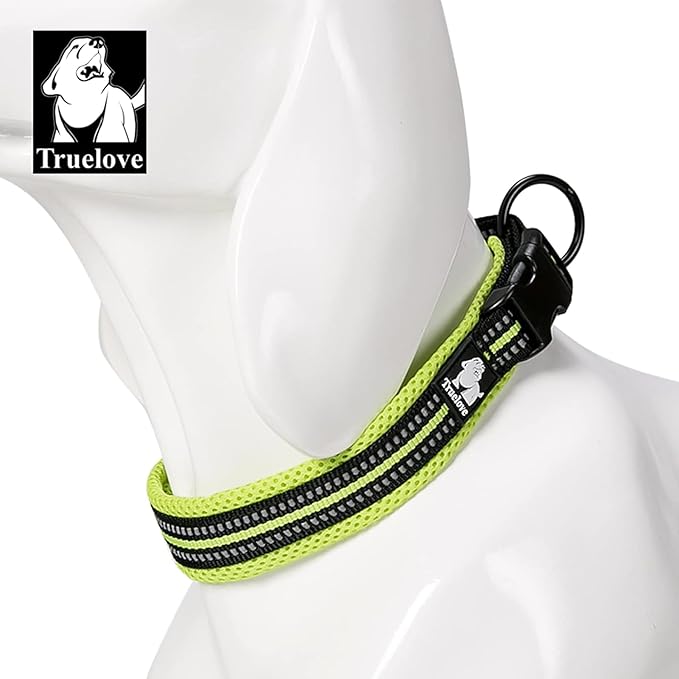 TRUE LOVE Dog Collar Reflective Premium Duraflex Buckle,High Grade Nylon Webbing No Choke Basic Collars TLC5011(Neon Yellow,3XL)