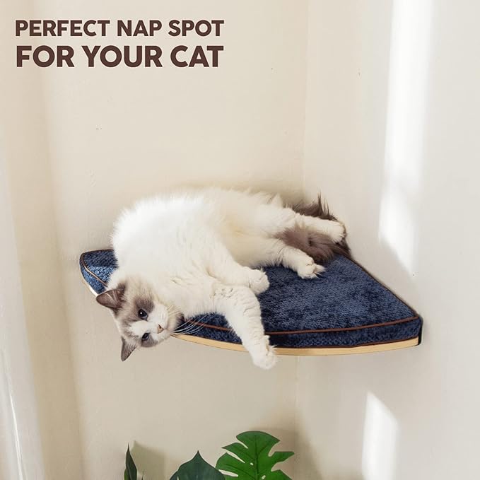 LIORCE Wall Mounted Corner Cat Bed - Cat Shelf with Comfortable Cushion - Minimalistic Cats Furniture for Indoor Cats - Climbing Perch for Wall,Cream