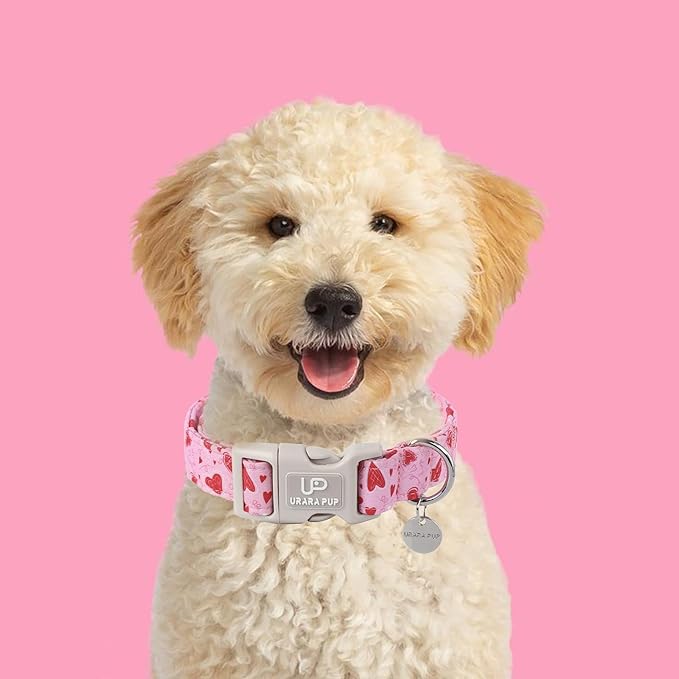 UP URARA PUP Valentine’s Day Dog Collar, Pink Heart Dog Collar with Quick Release, Valentine’s Day Gift Pet Collar for Puppy Girl Boy Dogs, Wedding Dog Collar