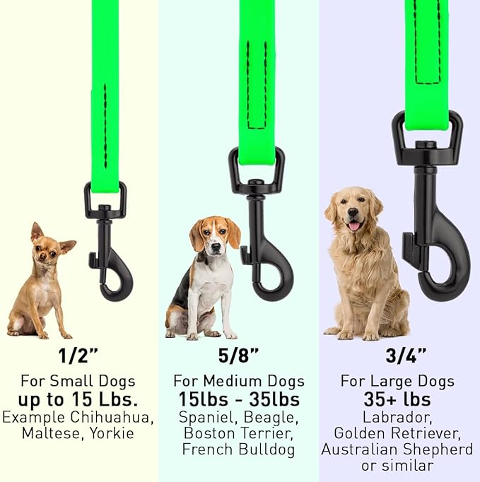 Dogline Biothane Waterproof Dog Leash Strong Coated Nylon Webbing with Black Hardware Odor-Proof Easy to Clean High Performance for Small or Large Dogs Made in USA 4 or 6 ft Lead, Tropical Green