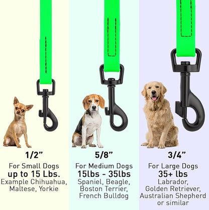 Dogline Biothane Waterproof Dog Leash Strong Coated Nylon Webbing with Black Hardware Odor-Proof Easy to Clean High Performance for Small or Large Dogs Made in USA 4 or 6 ft Lead, Tropical Green