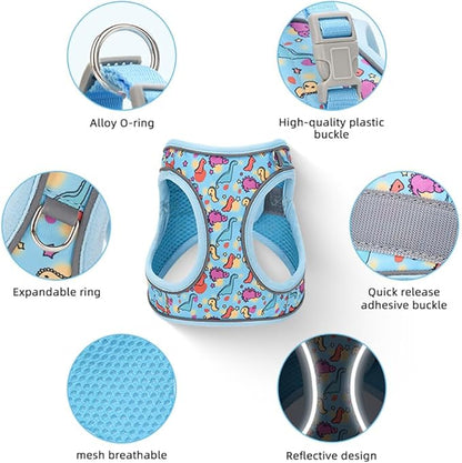 Step in Dog Harness and Leash Set, Flower Adjustable Easy Walk Puppy Harnesses, Soft Mesh Pet Vest Harness Small Size Dog Adjustable No Pull Dog Harness for Small Dogs and Cats(Dinosaur1, XS)