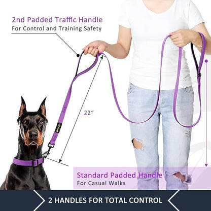 Plutus Pet Dog Leash 6ft Long, Traffic Padded Two Handle, Heavy Duty, Reflective Double Handles Lead for Control Safety Training, Leashes for Large Dogs or Medium Dogs, Dual Handles Leads (Purple)