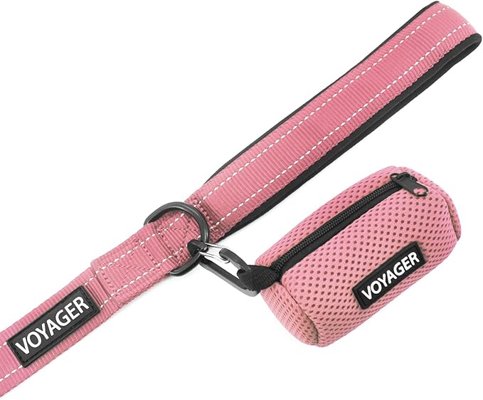 Best Pet Supplies Voyager Reflective Dog Leash or Collar with Neoprene Handle, for Small, Medium, and Large Breed Puppies, Cute and Heavy Duty for Walking, Running and Training - Pink (Leash), S