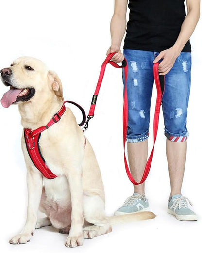 Plutus Pet Double Handle Dog Leash, 6ft, Padded, Heavy Duty, Reflective, Red, 2 Handle Leads