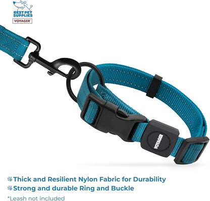 Best Pet Supplies Voyager Reflective Dog Leash or Collar with Neoprene Handle, for Small, Medium, and Large Breed Puppies, Cute and Heavy Duty for Walking, Running and Training - Turquoise, S
