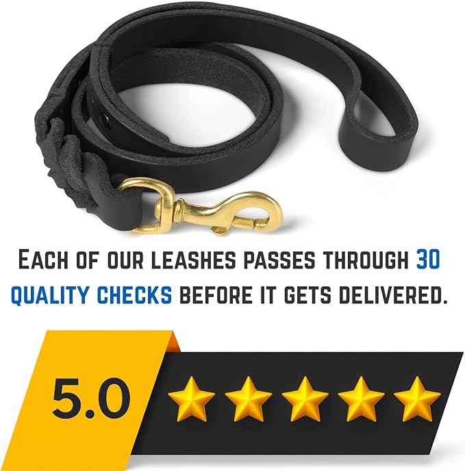 Leather Short Dog Leash 15 Inch - Short Dog Traffic Lead for Large Dogs Training and Walking - Braided Leather Tab for Large Dogs - Full Grain Heavy Duty. (Black, 2 FT)