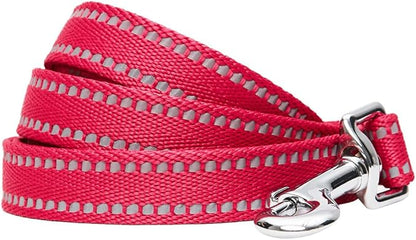 Blueberry Pet Essentials Reflective Dog Collar & Leash Set, Adjustable for Large Dogs | Safe Walking Gear for Pet Parents, Puppy Training & Daily Use LargeDogs, Very Berry