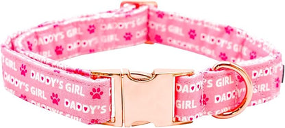 Lionheart glory Valentine Collar, Pink Hearts Dog Collars for X-Large Cute Dog Collars Spring Female Pet Gift Adjustable Heavy-Duty Dog Collar Holiday
