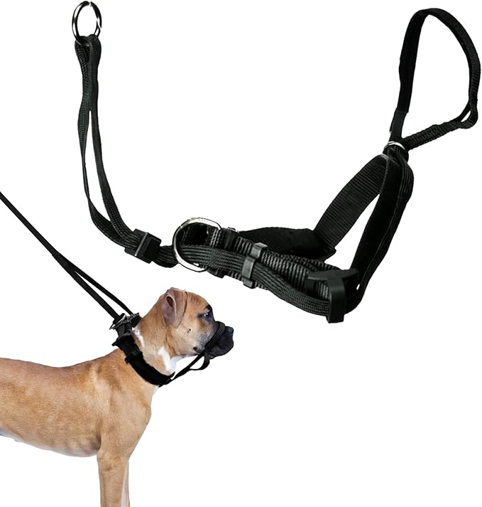 Sporn Head Halter for Dogs - Large Dog Halter, Gentle No-Pull Dog Collar with Padded Nose Strap - Comfortable Anti-Pull Control for Extreme Pullers - Attaches to Leash & Converts to Standard Collar