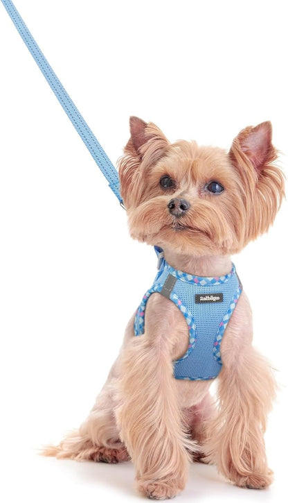 rabbitgoo Dog Harness Small Sized and Leash Set, Step in Soft Light Puppy Vest, Breathable Mesh Pet Harness, Reflective for Safe Easy Walking, Blue & Plaid Trim XXS