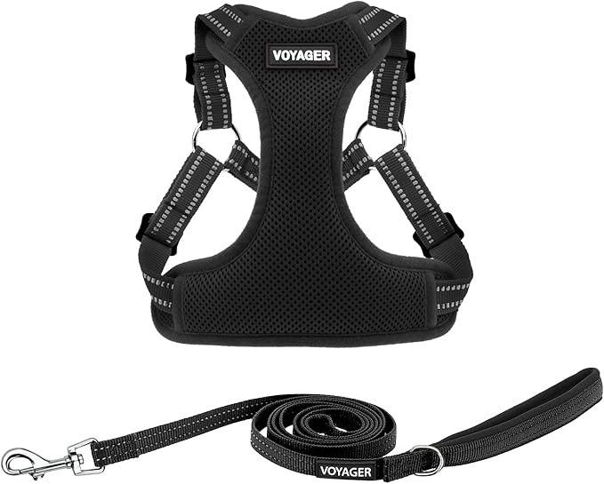 Best Pet Supplies Voyager Adjustable Step-in Flex Breathable Mesh Dog Harness for Small Medium Large Dogs Leash Set (Black), XL