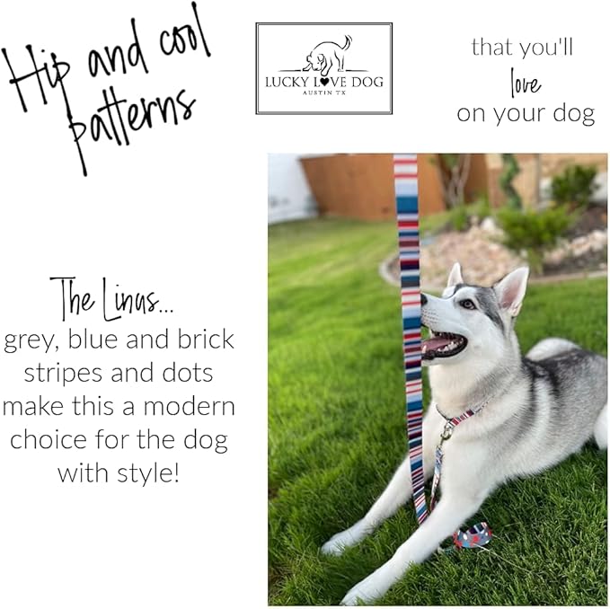 Lucky Love Dog, Nautical Dog Leash, Polka Dot Blue Red White Striped for Male Female Dogs, Durable & Long Lasting Dog Leashes - (Large, Linus Leash)
