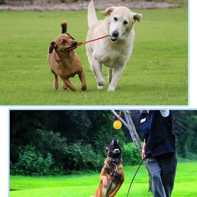 2 Pack Dog Ball, K9 Ball on Rope for Reward, Fetch, Play (6cm)