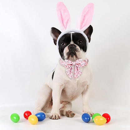 ARING PET Easter Dog Collar-Cute Rabbit Dog Collar with Sailor Bowtie, Cotton Adjustable Carrots Dog Collars with Metal Buckle