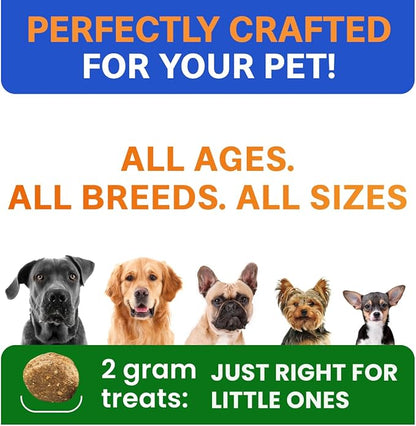 Bark&Spark Vet Strength Dog Probiotics Chews - 60 Billion CFU per jar - Digestive Enzymes for Dogs Gut Health - Chewable Supplement for Diarrhea, Gas, Constipation, Upset Stomach Relief (120 Ct)