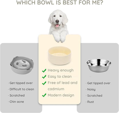 SPUNKYJUNKY 60OZ Ceramic Dog and Cat Bowl, Modern Cute Weighted Food Water Bowl for Replacement Beige (2 Pack)