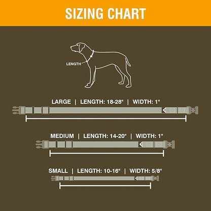 Browning Classic Dog Collar Hunting Dog Collar, Classic Webbing, Safety Orange, Large