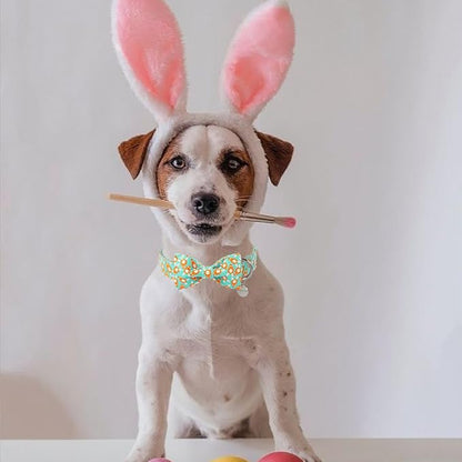 Easter Dog Collar with Bow Tie, Lovely Cotton Easter Carrot Adjustable Bowtie Collar for Girl Boy Dog, Adorable Carrots Puppy Collars with Metal Buckle,L, Neck 16-24in