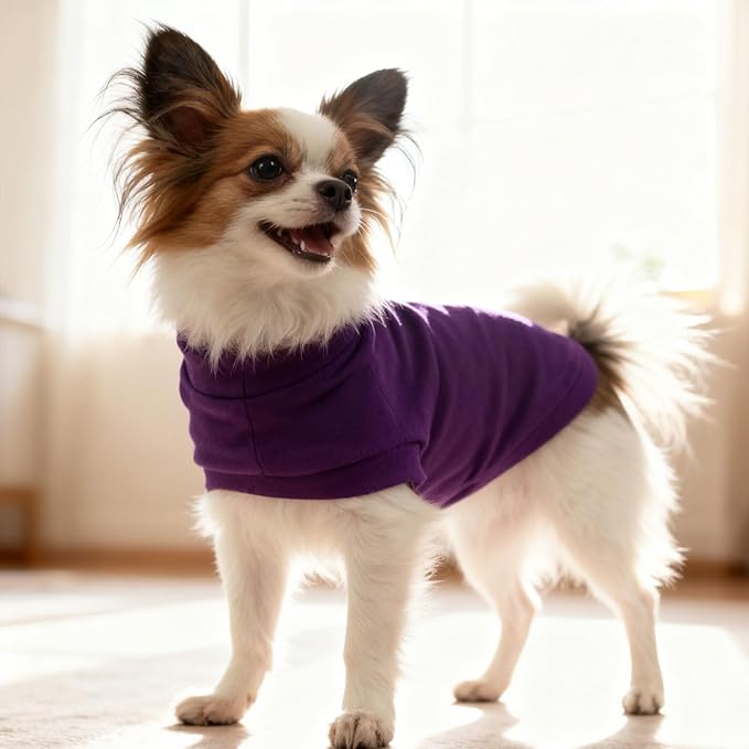 EXPAWLORER Soft Cat Sweater - Sweaters for Cats Only Warm Kitten Clothes, Fall and Winter Pet Coat Pullover Design, Fleece Sweatshirt Clothing Also for Puppy Small Dogs, Purple L