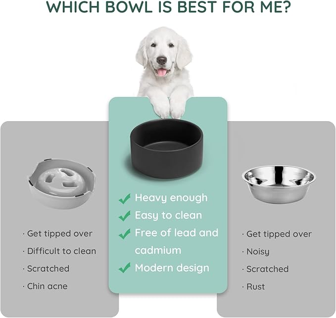 SPUNKYJUNKY 60OZ Ceramic Dog and Cat Bowl, Modern Cute Weighted Food Water Bowl for Replacement Black (1 Pack)
