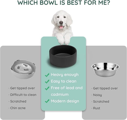 SPUNKYJUNKY 13.5OZ Ceramic Dog and Cat Bowl, Modern Cute Weighted Food Water Bowl for Replacement Black (2 Pack)