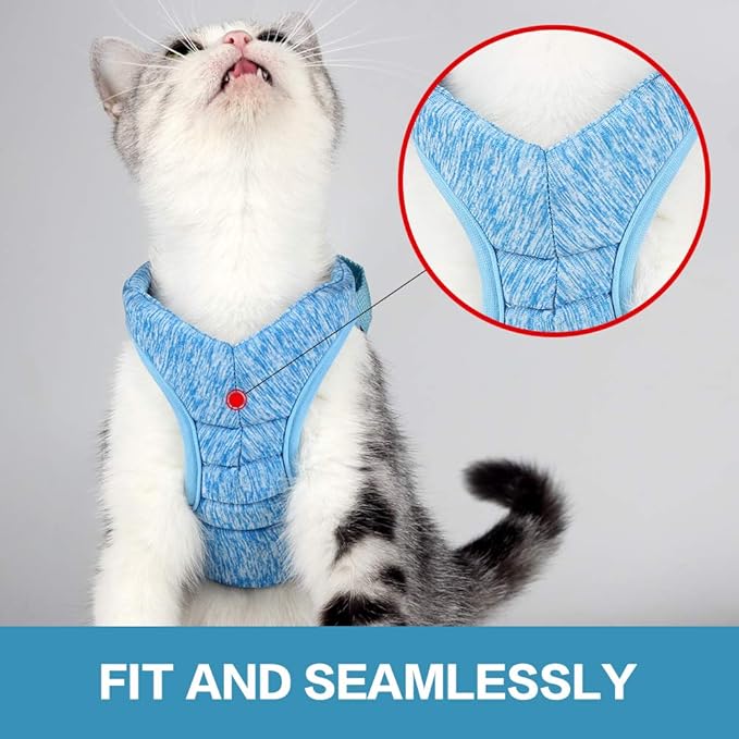 HEYWEAN Cat Harness and Leash - Ultra Light Escape Proof Kitten Collar Cat Walking Jacket with Running Cushioning Soft and Comfortable Suitable for Puppies Rabbits