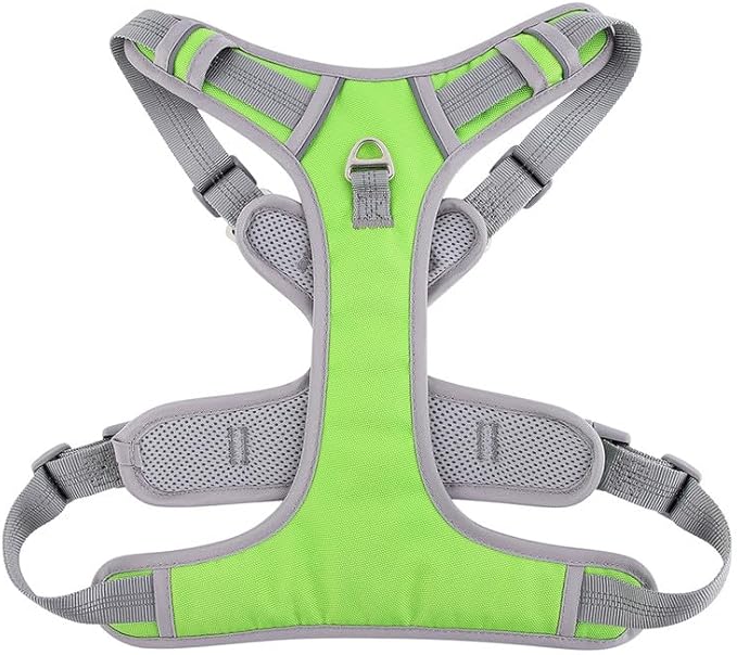 Paawpal Adjustable Dog Harness - No Pull, Reflective, Soft Padded for Small, Medium, Large Dogs - Includes Leash Green L