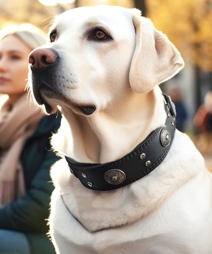 Leather Dog Collar, 2 inches Wide Heavy Duty Genuine Leather Collars, Handmade, Soft, and Luxury, Eye-catching Best Choice for Large and Medium Breed Dogs, Black 21-25 inches