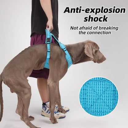 Airtag Dog Harness Chest Plate Reflective No Pull Harness with Leash for Extra Large Dogs (Steel Blue, L)