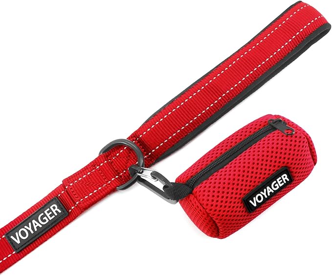 Best Pet Supplies Voyager Reflective Dog Leash or Collar with Neoprene Handle, for Small, Medium, and Large Breed Puppies, Cute and Heavy Duty for Walking, Running and Training - Red (Leash), L