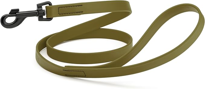Dogline Biothane Waterproof Dog Leash Strong Coated Nylon Webbing with Black Hardware Odor-Proof Easy to Clean High Performance for Small or Large Dogs Made in USA 4 or 6 ft Lead, Olive Drab Green